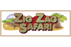 Zig Zag Safari Artwork